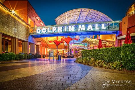 dolphin mall news today live